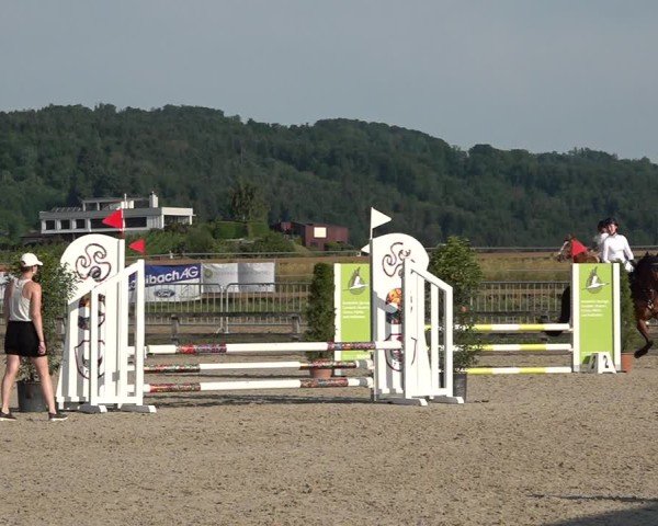 Reitturnier Hitzkirch 2025