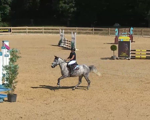 Reitturnier Tiefenhof/Opf. 2025