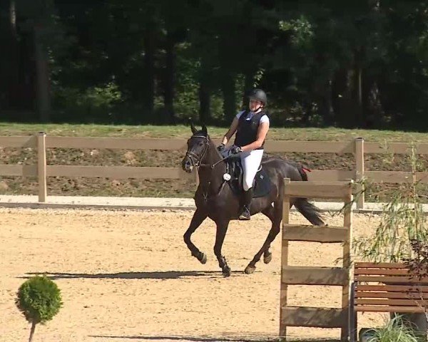 Reitturnier Tiefenhof/Opf. 2025