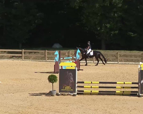 Reitturnier Tiefenhof/Opf. 2025