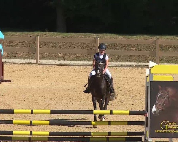 Reitturnier Tiefenhof/Opf. 2025