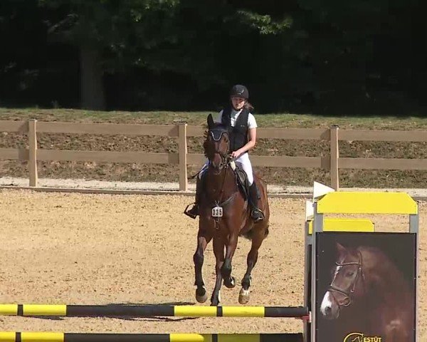 Reitturnier Tiefenhof/Opf. 2025