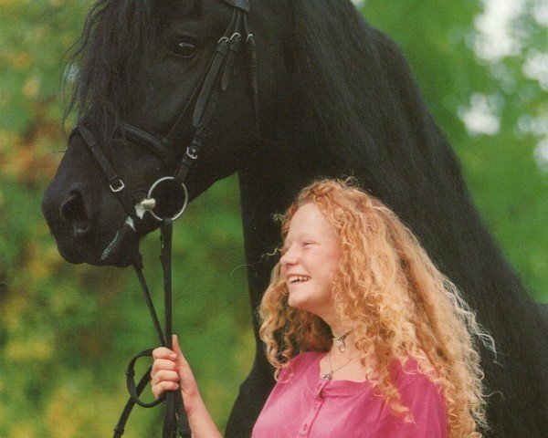 stallion Robert-Piter (Friese, 1989, from Foppe 290)