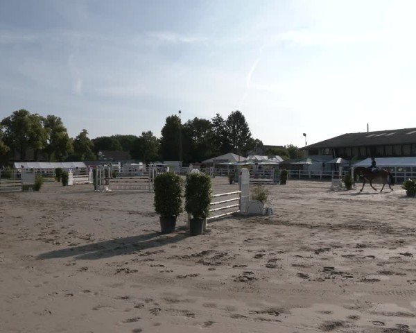 Reitturnier Dortmund-Somborn 2025