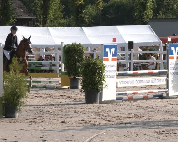 Reitturnier Dortmund-Somborn 2025