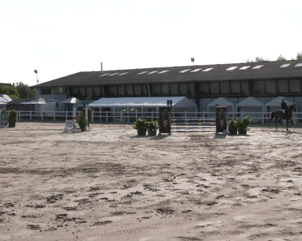 Reitturnier Dortmund-Somborn 2025