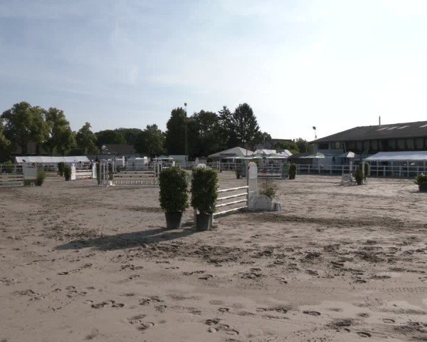 Reitturnier Dortmund-Somborn 2025