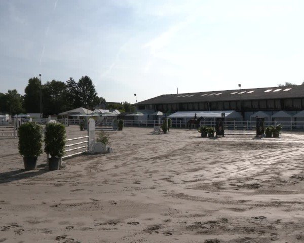 Reitturnier Dortmund-Somborn 2025