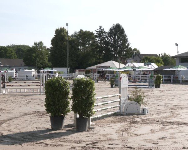 Reitturnier Dortmund-Somborn 2025