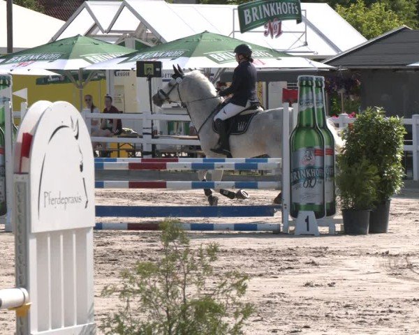 Reitturnier Dortmund-Somborn 2025