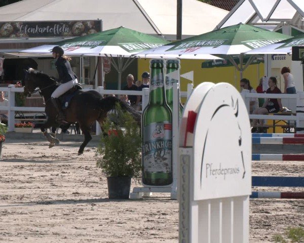 Reitturnier Dortmund-Somborn 2025