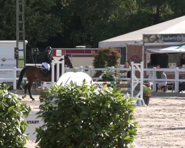 Reitturnier Dortmund-Somborn 2025