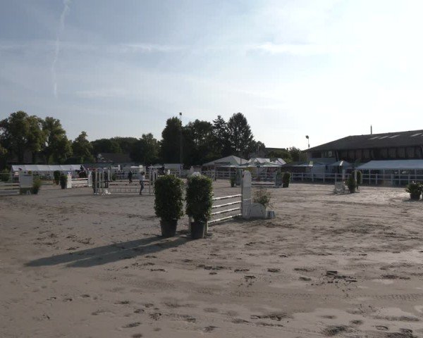 Reitturnier Dortmund-Somborn 2025