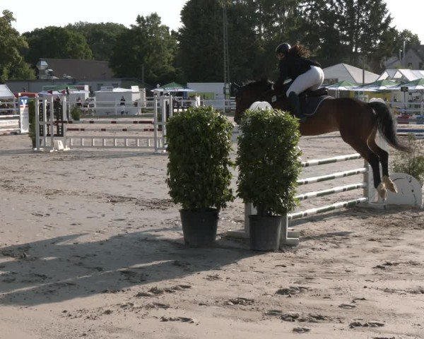 Reitturnier Dortmund-Somborn 2025