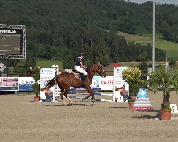 Reitturnier Hitzkirch 2025