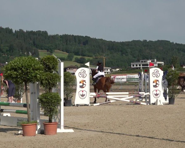 Reitturnier Hitzkirch 2025