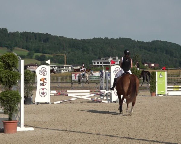 Reitturnier Hitzkirch 2025