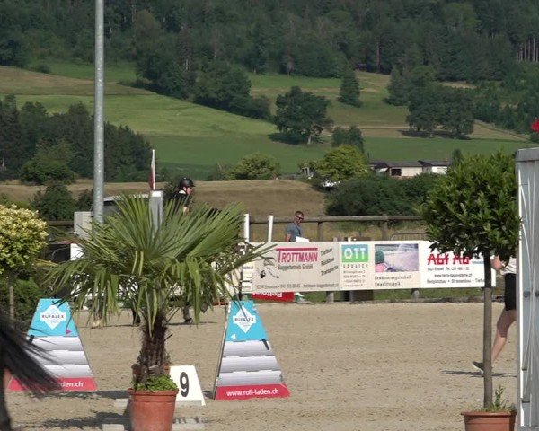Reitturnier Hitzkirch 2025