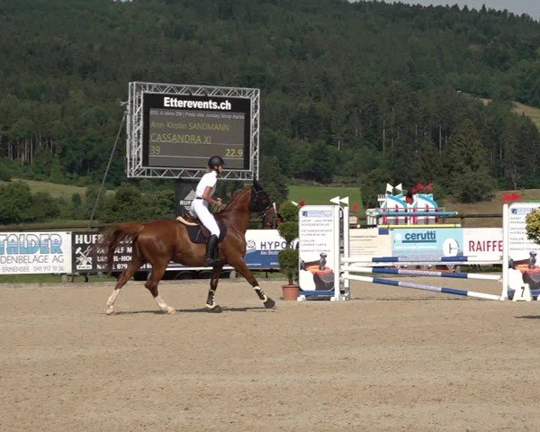 Reitturnier Hitzkirch 2025