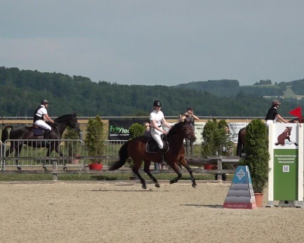 Reitturnier Hitzkirch 2025