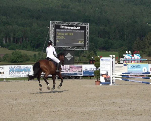 Reitturnier Hitzkirch 2025