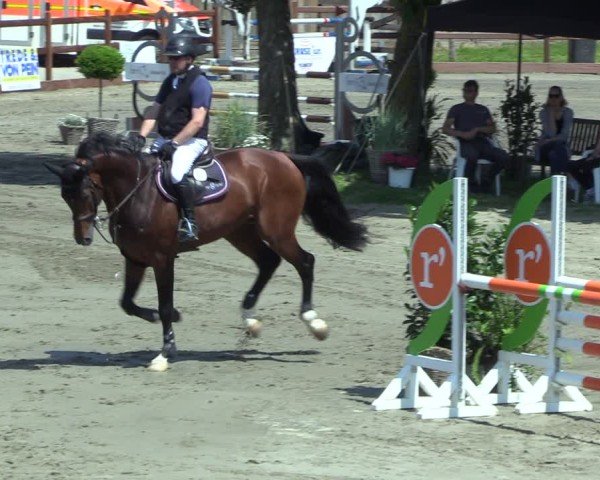 Reitturnier Breitenburg 2025
