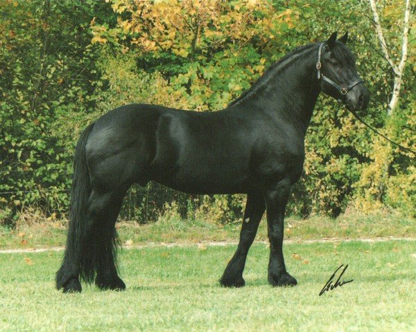 Deckhengst Ulke fan Out-Stedma (Friese, 1990, von Hearke 254)