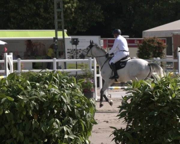 Reitturnier Dortmund-Somborn 2025