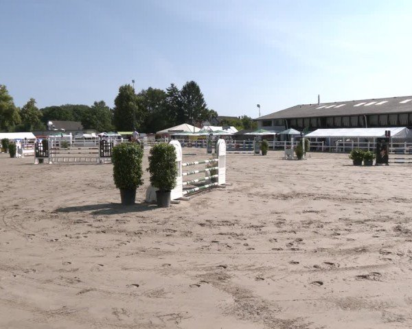 Reitturnier Dortmund-Somborn 2025