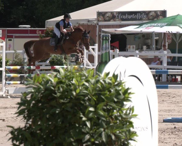 Reitturnier Dortmund-Somborn 2025