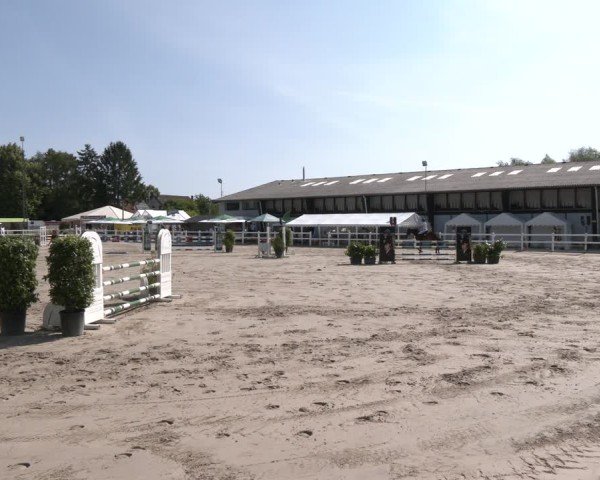 Reitturnier Dortmund-Somborn 2025