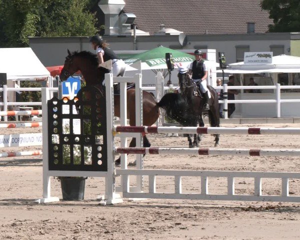 Reitturnier Dortmund-Somborn 2025