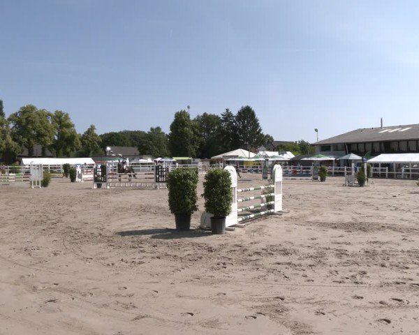 Reitturnier Dortmund-Somborn 2025