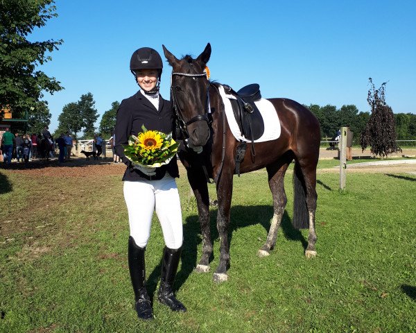 Dressurpferd Samye (Westfale, 2010, von Son of Cologne)