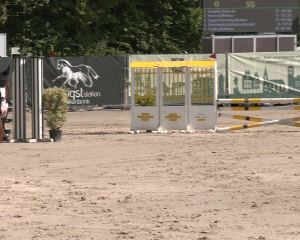 Reitturnier Münster-Albachten 2025