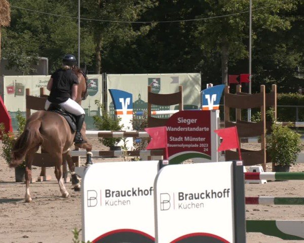 Reitturnier Münster-Albachten 2025