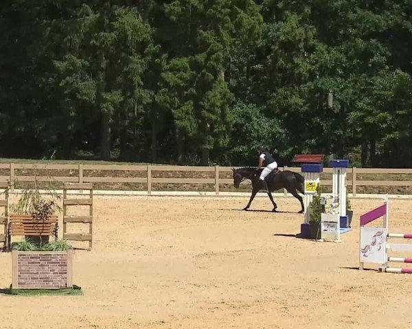 Reitturnier Tiefenhof/Opf. 2025