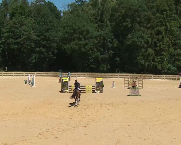 Reitturnier Tiefenhof/Opf. 2025