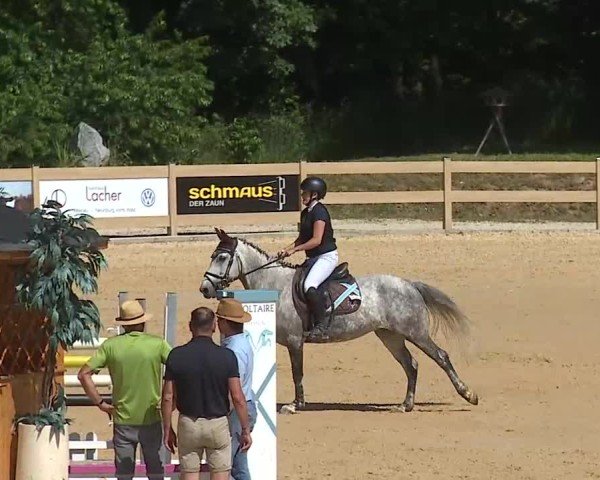 Reitturnier Tiefenhof/Opf. 2025