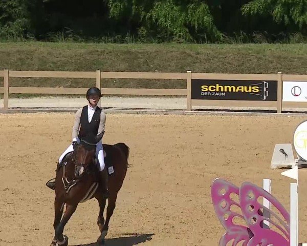 Reitturnier Tiefenhof/Opf. 2025