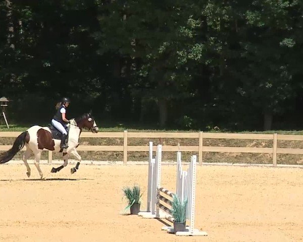 Reitturnier Tiefenhof/Opf. 2025