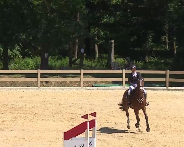Reitturnier Tiefenhof/Opf. 2025