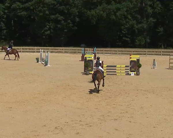 Reitturnier Tiefenhof/Opf. 2025