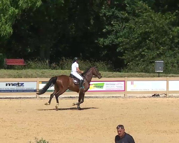 Reitturnier Tiefenhof/Opf. 2025