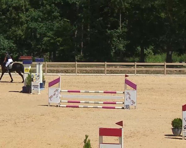 Reitturnier Tiefenhof/Opf. 2025