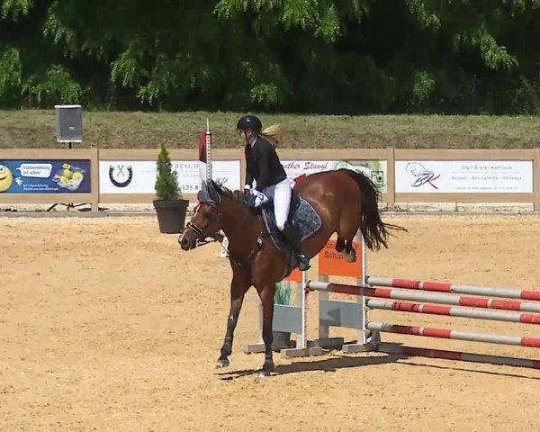 Reitturnier Tiefenhof/Opf. 2025