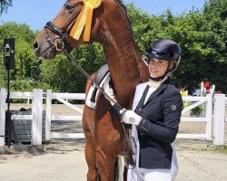 dressage horse For Victory 7 (Oldenburg, 2020)