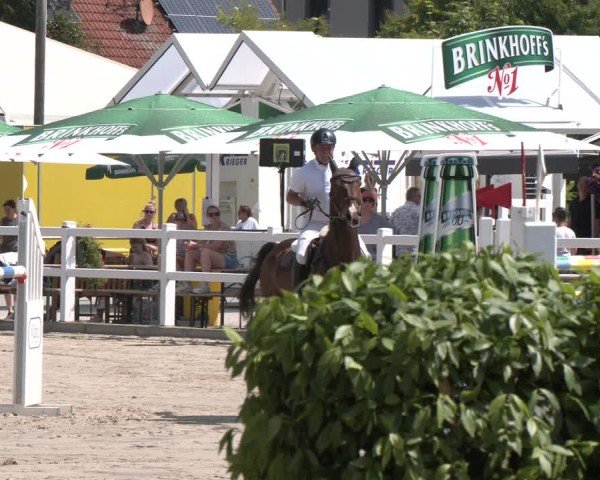 Reitturnier Dortmund-Somborn 2025