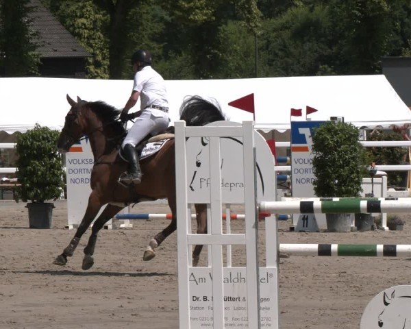 Reitturnier Dortmund-Somborn 2025