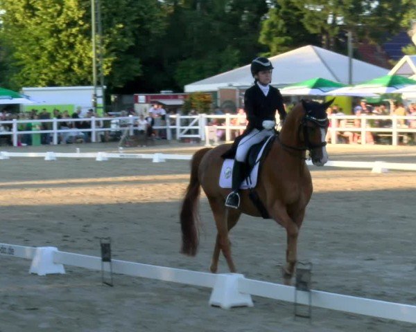 Reitturnier Dortmund-Somborn 2025